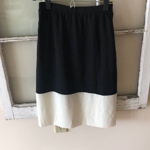 Club Monaco silk skirt with small back slit